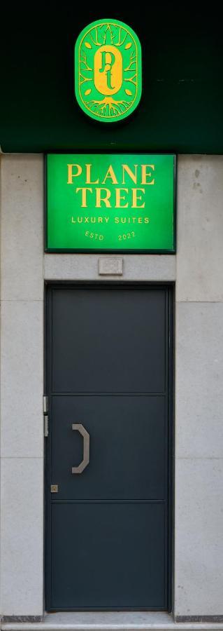 Apartment Plane Tree Luxury *